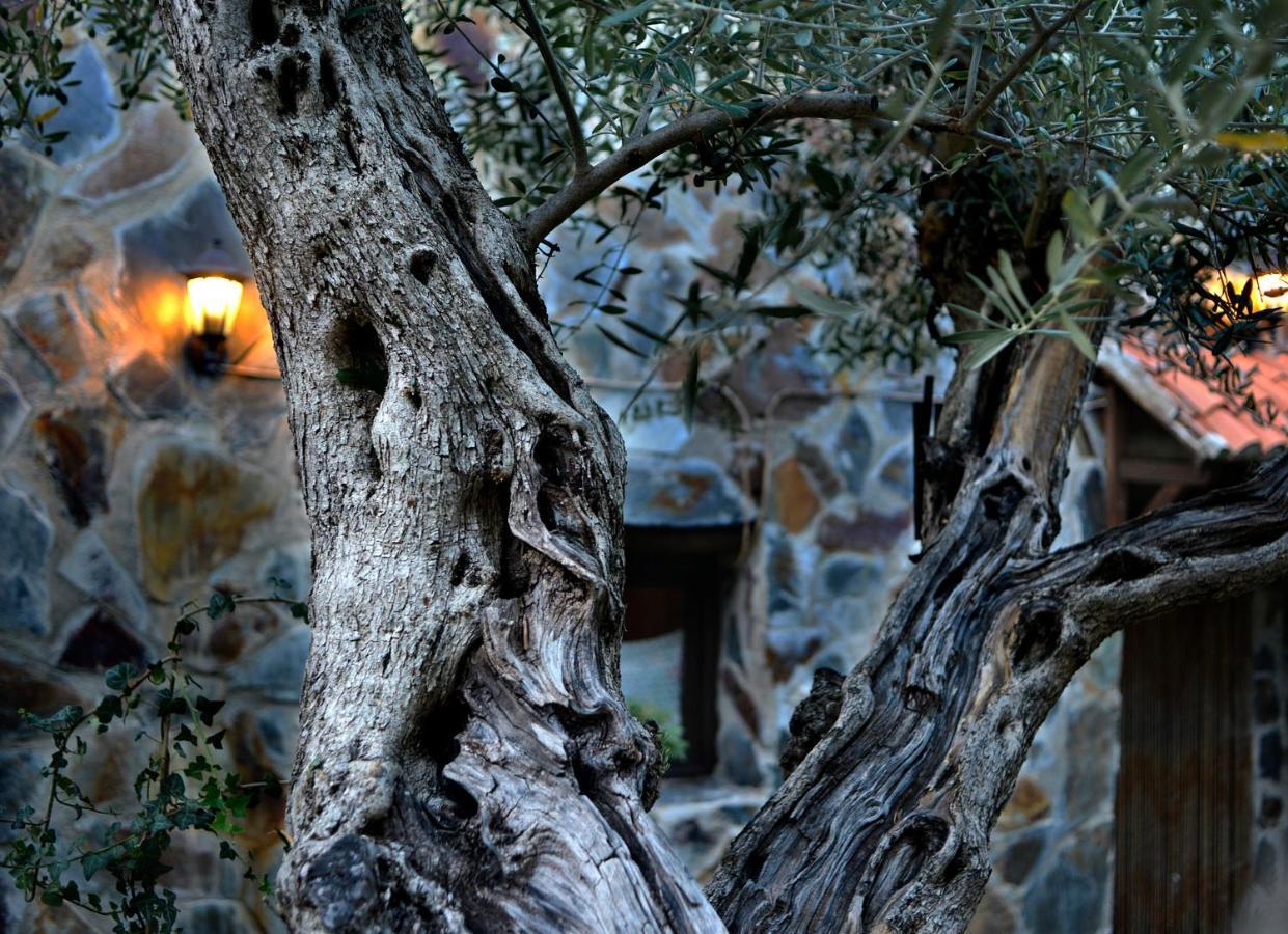 La Casita De Leire ξενώνας Tamajon Εξωτερικό φωτογραφία