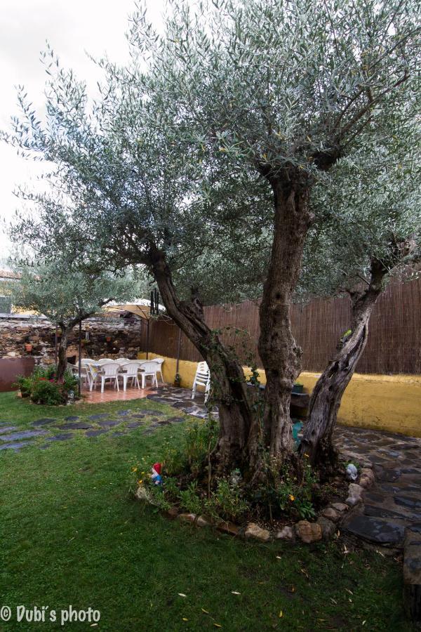 La Casita De Leire ξενώνας Tamajon Εξωτερικό φωτογραφία
